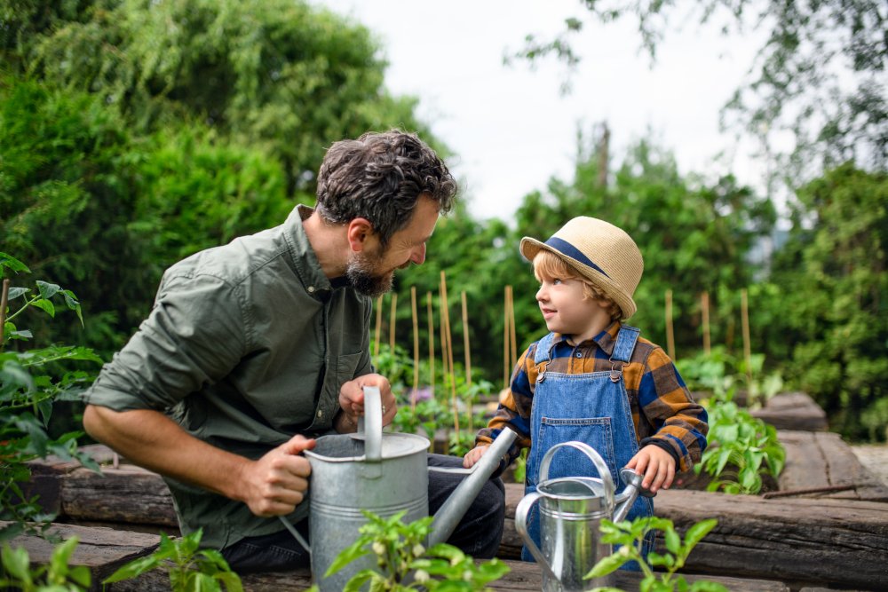 Organic food fraud