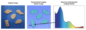 Hyperspectral bioClass Chicken Foreigh Material Inspectiom