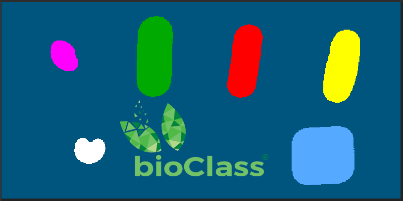 bioClass drug detection DECISIONS